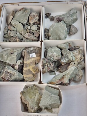 Two Medicine Formation Prep Projects - Dinosaur Bone Fossils - Teton Co., MT