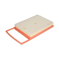 Luftfilter Mann-Filter C 35 011