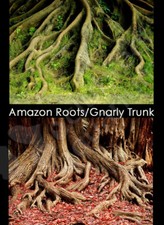 Amazon Roots/Gnarly Trunk 18"-20" Aquarium Background