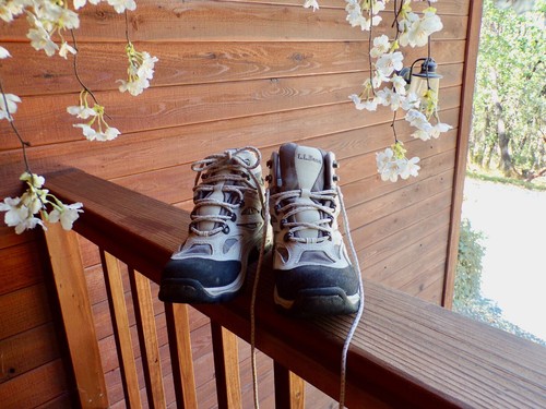 hiking boots LL Bean Tek 2.5 waterproof 