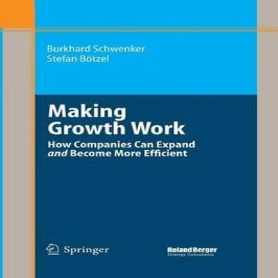 Making Growth Work How Companies Can Expand and Become More Effic