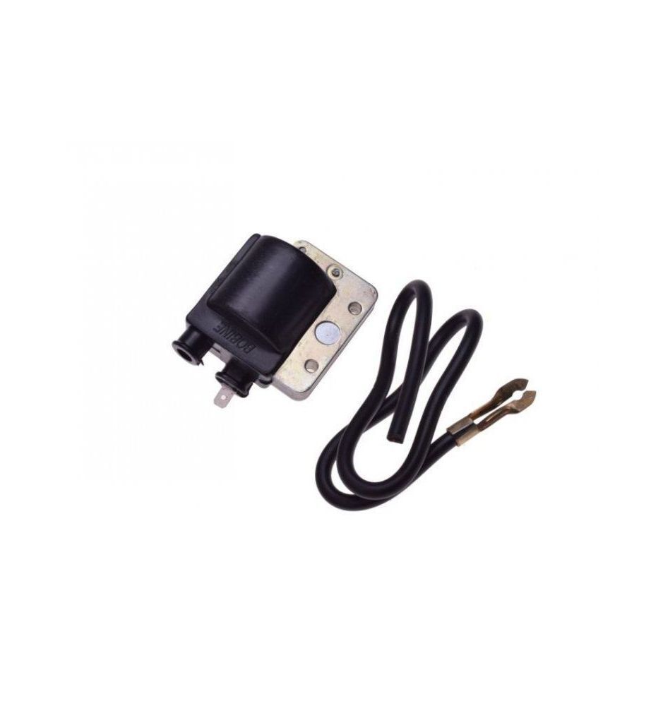 Bobine avec module Bajaj 6V pour réparer le système d'allumage défectueux