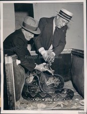 1936 Cleveland Cliff Wilson Frank Loughney Python Battle Photo 6X8