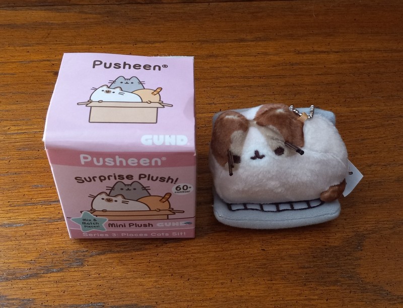 RARE Pusheen Blind Box Laptop New With Box Cat Collectable GUND