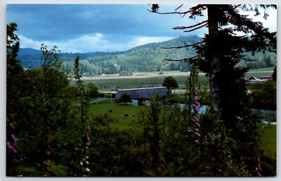Vintage Postcard -  Grays River Covered Bridge - Wahkiakum County Washington