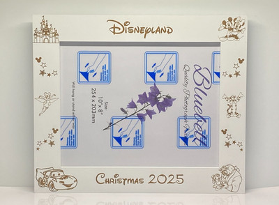 Disneyland Bilderrahmen Querformat personalisiert und graviert