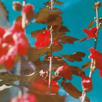 Chad Lawson Breathe (CD) Album