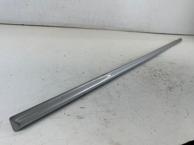 BMW 330Ci Left 2DR Door Rub Strip Molding Titan Silver E46 00-06 OEM