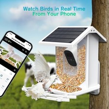 Solar Smart Bird Feeder With Camera Wifi 1080P HD