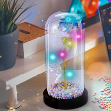 Galaxy Rose Flower in Dome Glass LED Light Valentine's Day Birthday Gift Forever