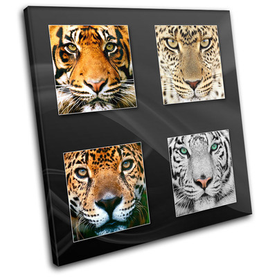 Tiger Lion Cheetah  Animals SINGLE Leinwand Wand Kunst Bild drucken