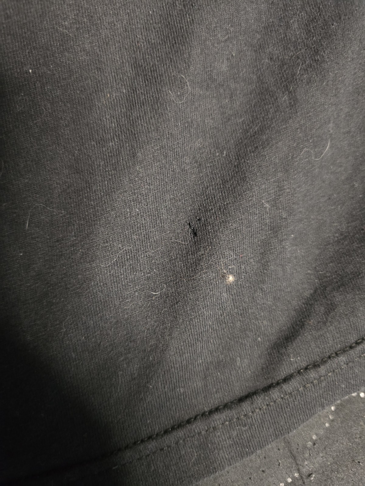 Picture 11 of 11