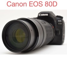 Canon EOS 80D Digital Camera with 100-300mm Lens Set Excellent Condition