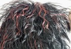 Bild 4 von 6