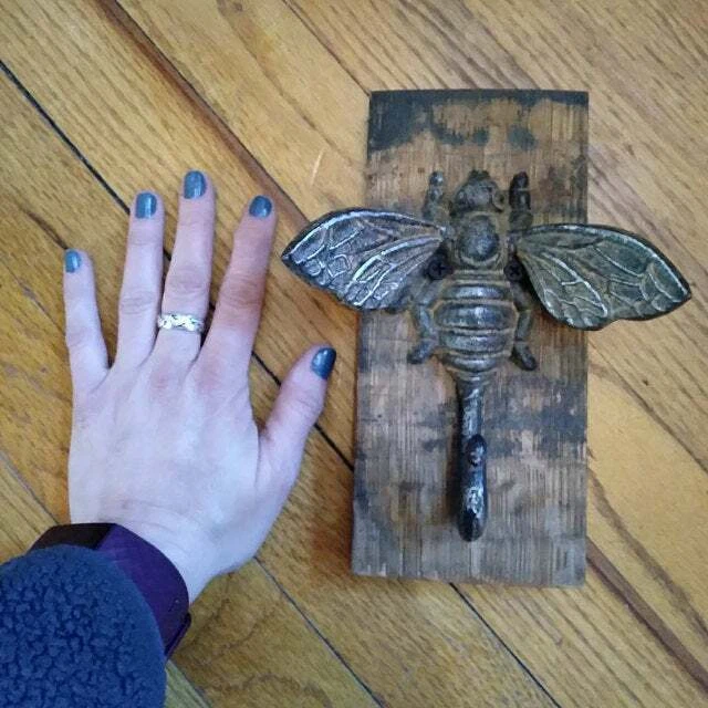 Bumble bee online wall hook