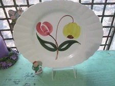 Blue Ridge Pottery Shoo Fly Platter