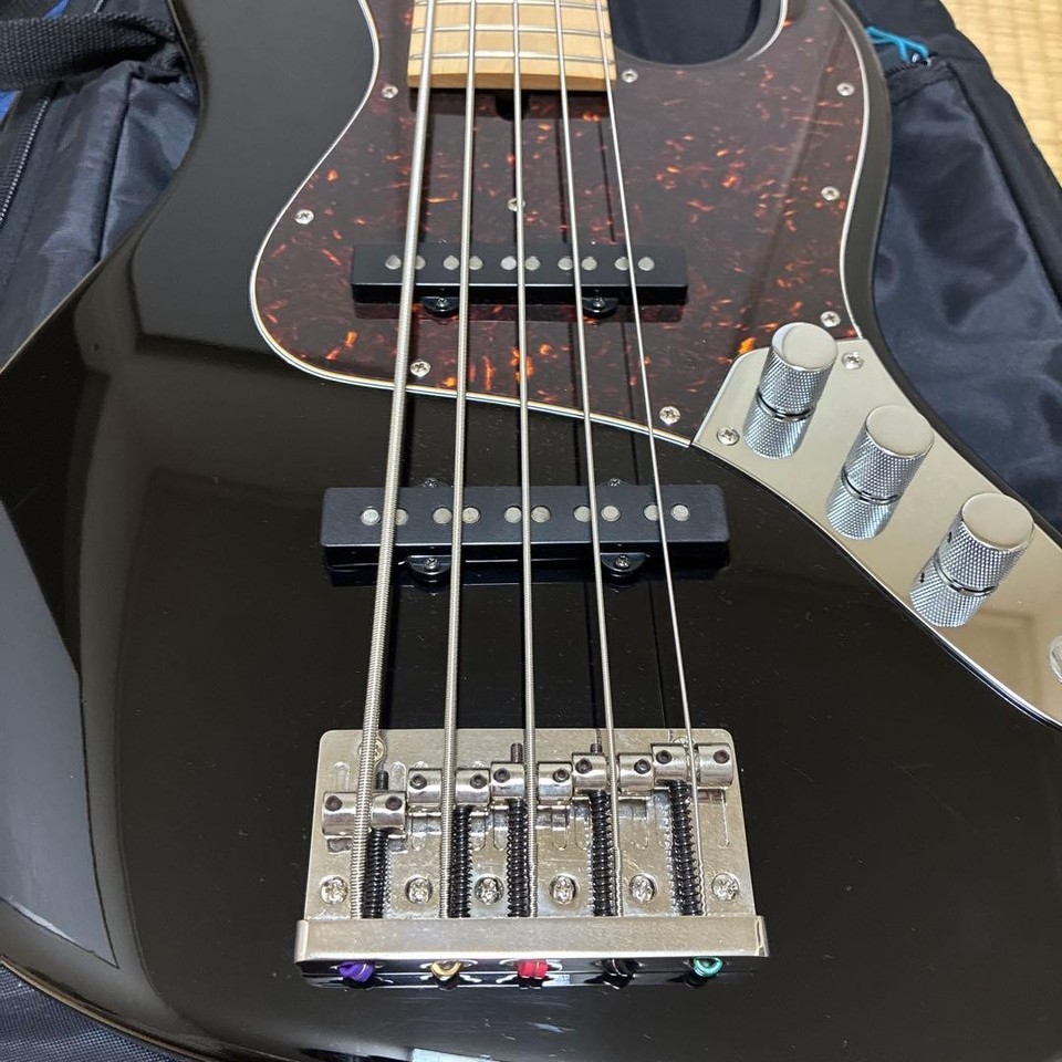 Bacchus Craft Series Woodline 5 String Bass No.MG1228 | eBay