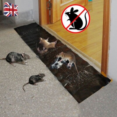  47''Mice Rat Glue Trap Rodent Board Indoor Super Sticky Snake Bugs Roach Catcher