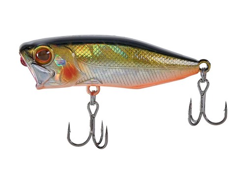 Select Splash 53F 5.3cm 5.8g Popper Leurre Perche Aspe COULEURS - Photo 16/16