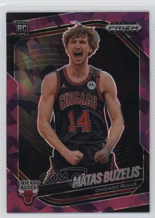 2024-25 Panini Prizm Black Purple Ice Prizm 22/149 Matas Buzelis #41 ru7