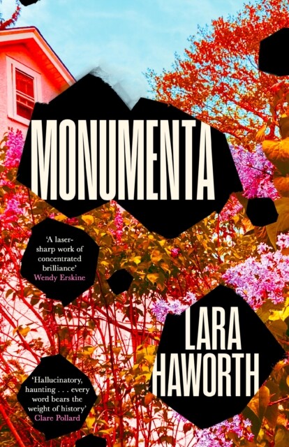 Monumenta 9781805301967 Lara Haworth - Free Tracked Delivery
