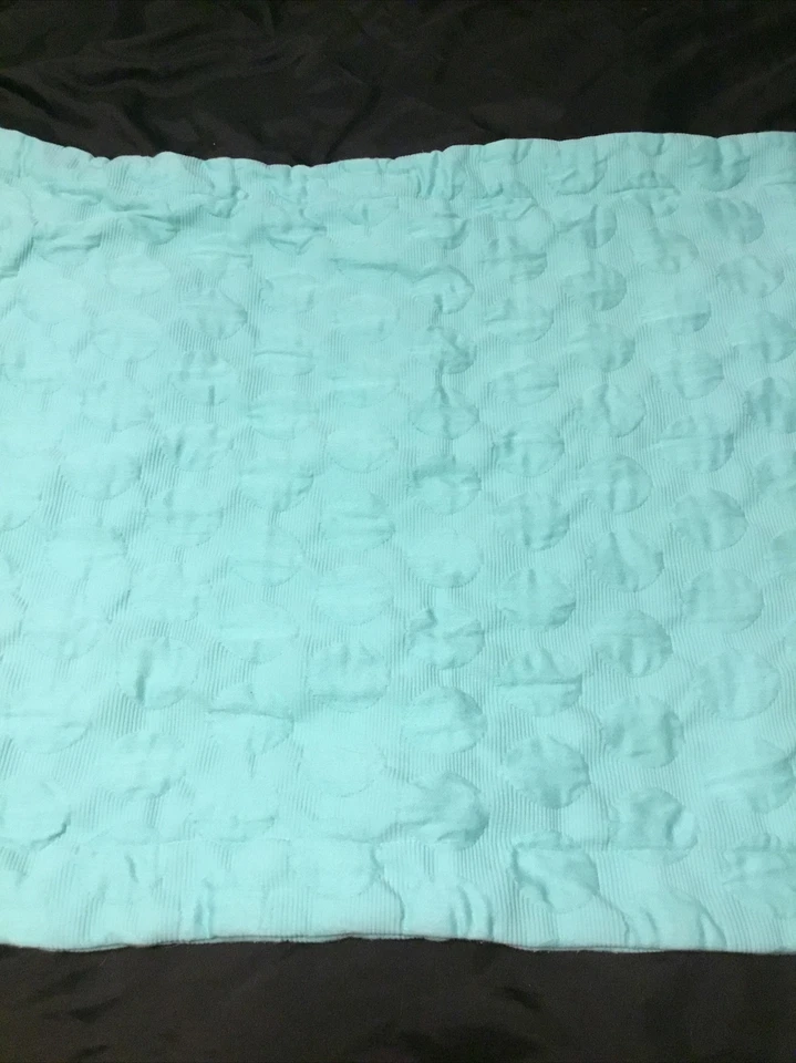 Pottery Barn Adolescente Big Dot Matelasse Std Par Falso Piscina Verde Texturizado Algodón Foto 4 de 4