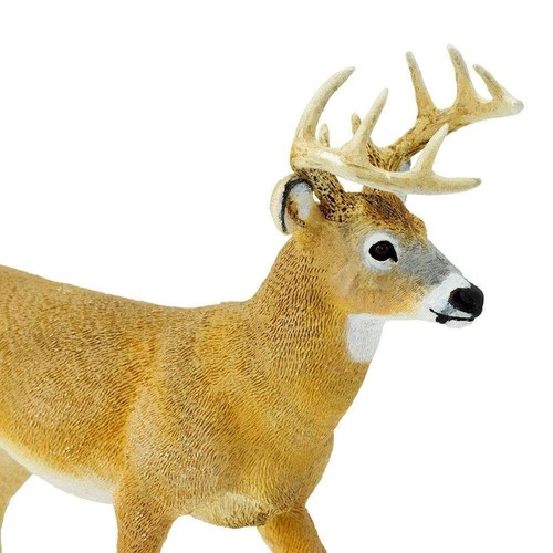 WHITETAIL DEER BUCK Animal Figurine Safari Ltd toy Wonderful Wildlife Collection - 第 6/6 張圖片