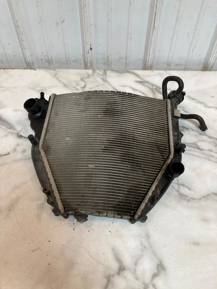 Radiador 14 BMW K 1600 K1600 GTL K1600GTL Foto 2 de 4