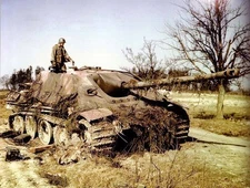 WWII Color Photo Captured German Jagdpanther 1945 WW2 World War Two  / 4043