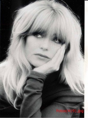 Goldie Hawn - Ein Vogel auf dem Drahtseil - 11 Pressefotos - 13x18cm (7832)