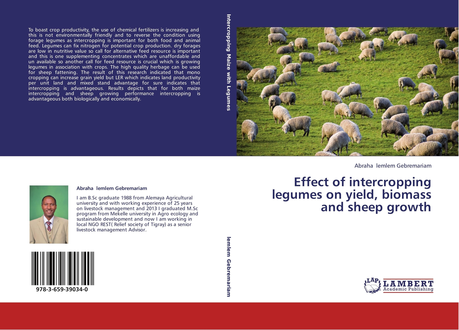Thumbnail - Abraha Lemlem Gebremariam | Effect Of Intercropping Legumes On Yield,