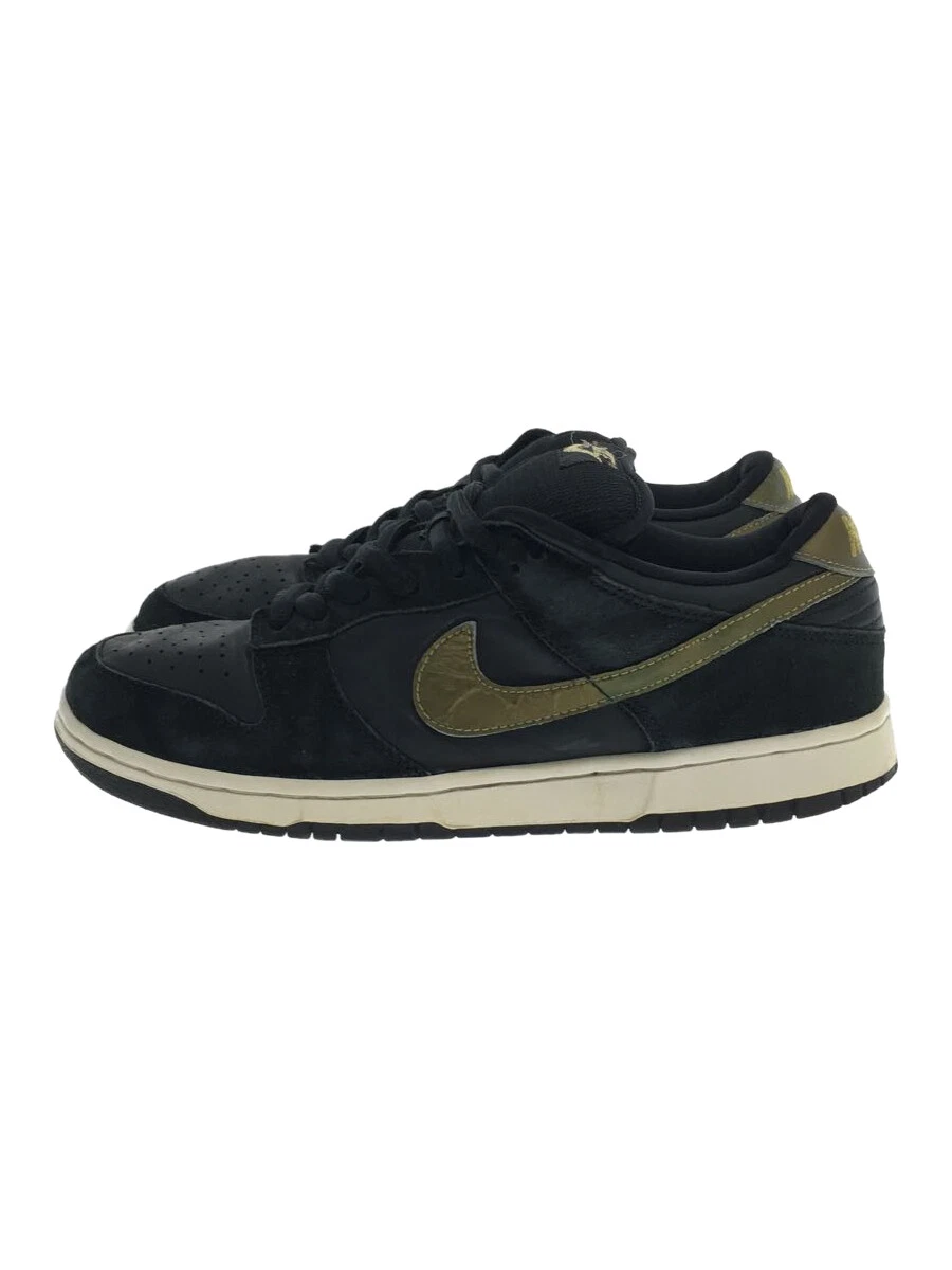 Nike DUNK LOW PRO SB TAKASHI HOSOKAWA 304292-072 29.5cm BLK USED
