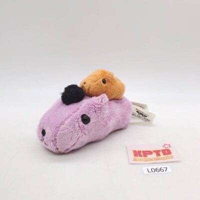 Capybara-san L667 KAPIBARA-SAN Purple Banpresto 2009 Plush 4
