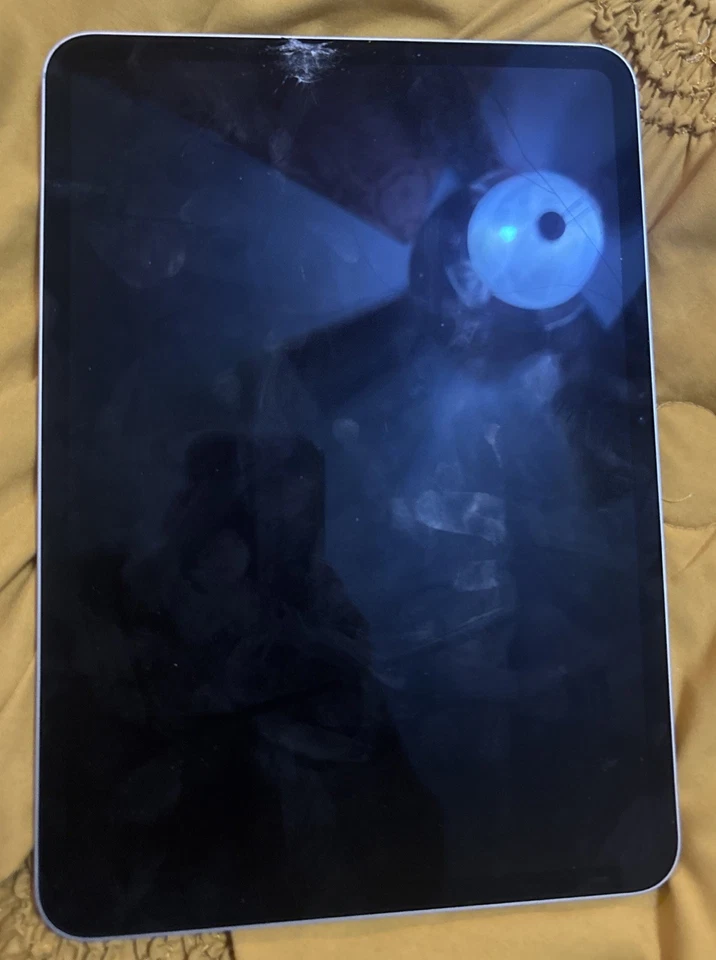 Apple iPad Pro 11" M4 5ta Generación Plateado WiFi 5G 256GB 100% Batería Vendo la pieza Foto 2 de 4