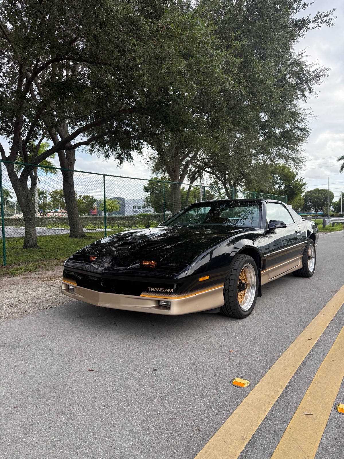 1985 Pontiac Firebird for sale in Miami Florida