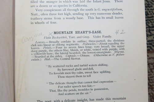WILD FLOWERS of California Names Haunts Habits - Mary Parsons 1902 - Photo 5/9