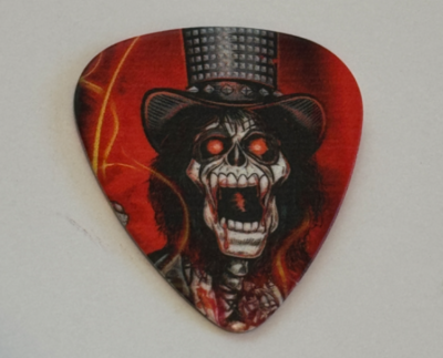 Hollywood Vampires Alice Cooper Skeleton Hat Guitar Pick Concert