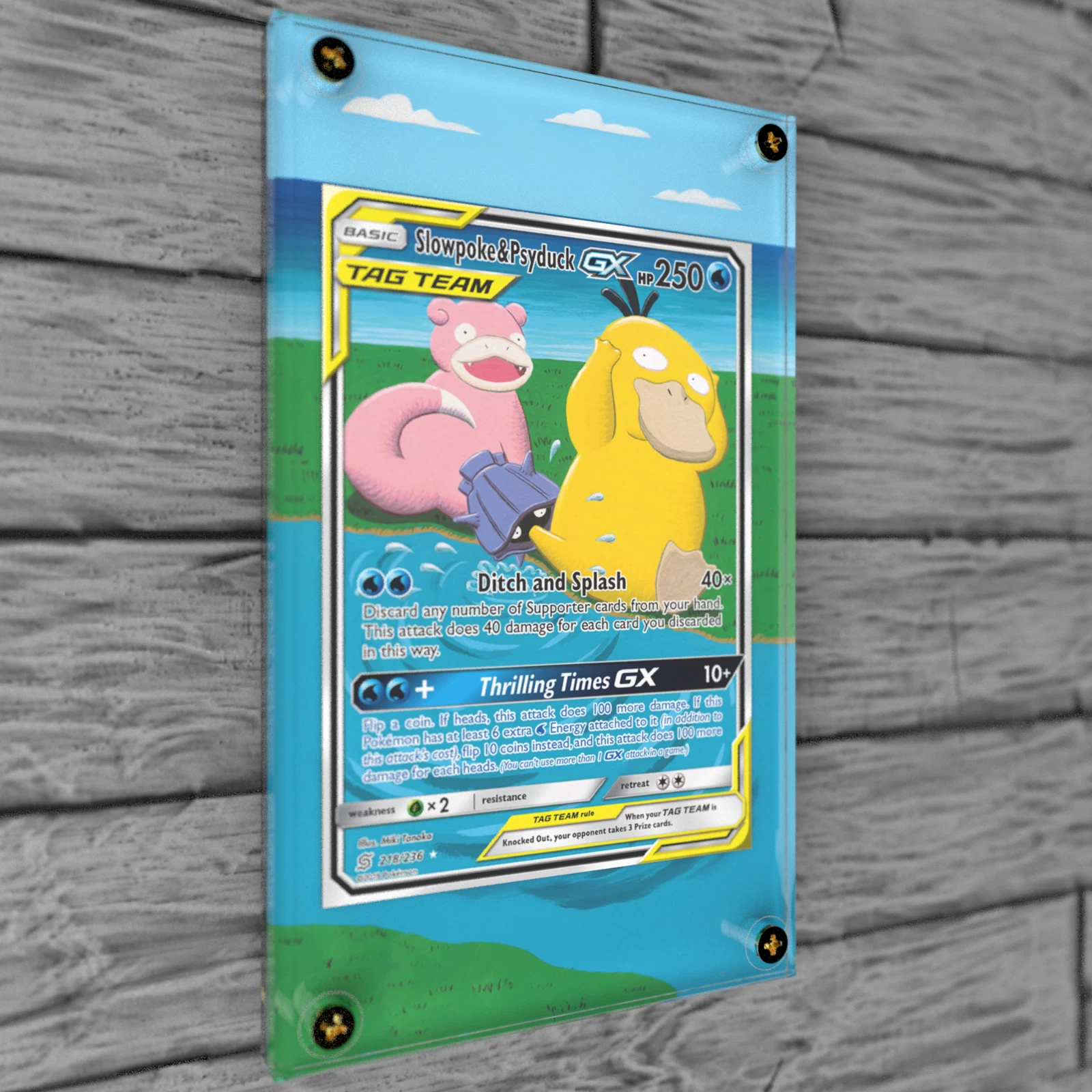 Pokeshield Display Image 2