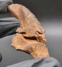 Gebel Kamil 62.91g Iron Meteorite, Individual Stone, IMCA #s 6236 & 7294