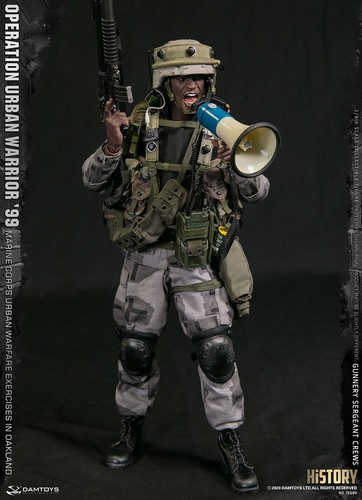 Modellino Damtoys scala 1/6 pistola M16 DAM operazione Urban Warrior '99 1:6  - Foto 1 di 14