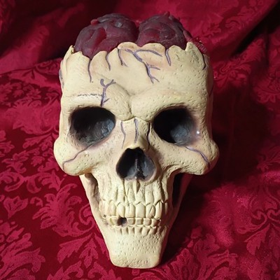 RARE Vintage Halloween Easter Unlimited Inc SKULL w/ EXPOSED BRAIN! HORROR PROP!