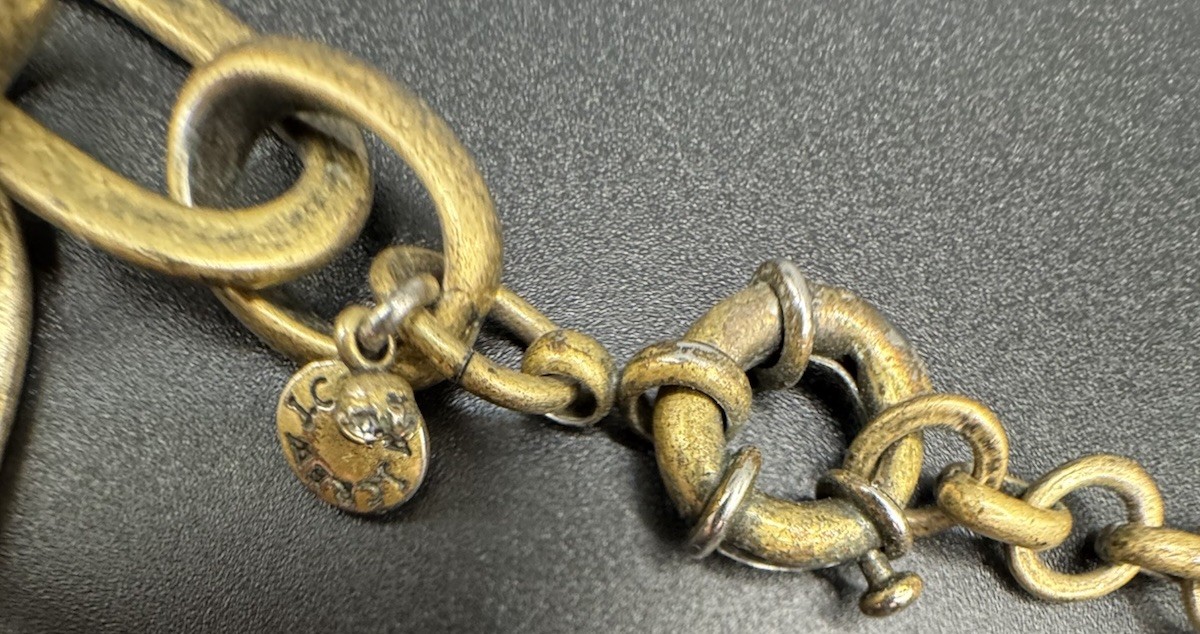 J Crew Statement Rhinestone Tortoise Necklace  - … - image 6