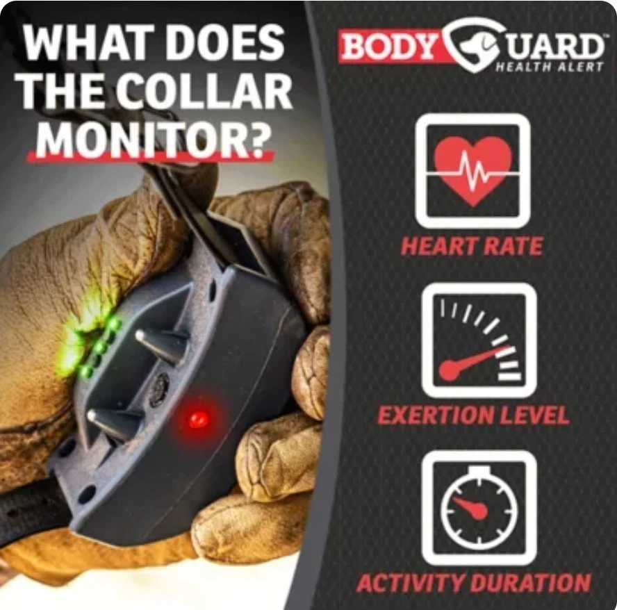 Collar de entrenamiento remoto SportDOG 825 825FS FIELDSTENTINEL para perros nuevo Foto 3 de 4