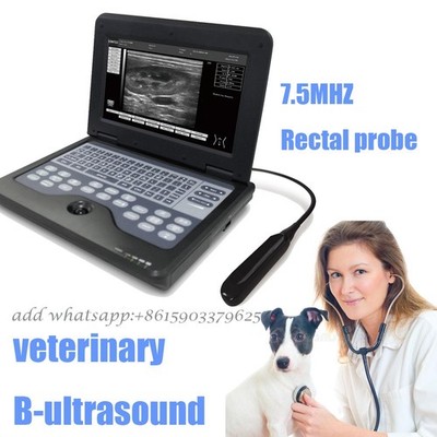 CE Portable laptop machine Veterinary ultrasound scanner 6.5M Rectal probe