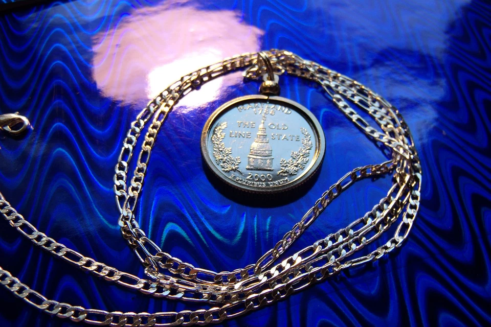 Colgante de platino sumergido Maryland 2000 cuarto de cuarto en una cadena de plata de ley 925 de 24" Foto 3 de 4