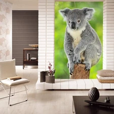 3D Gray Koala Animal ZHUA1286 Wallpaper Wall Murals Removable Self-adhesive Ann