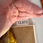 Bild 13 von 13