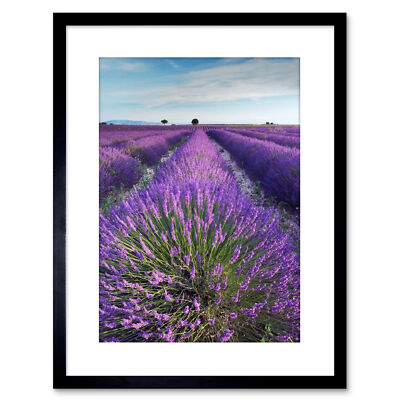 Lavender Field Provence Morning Flowers Photo Framed Art Print 9x7 Inch