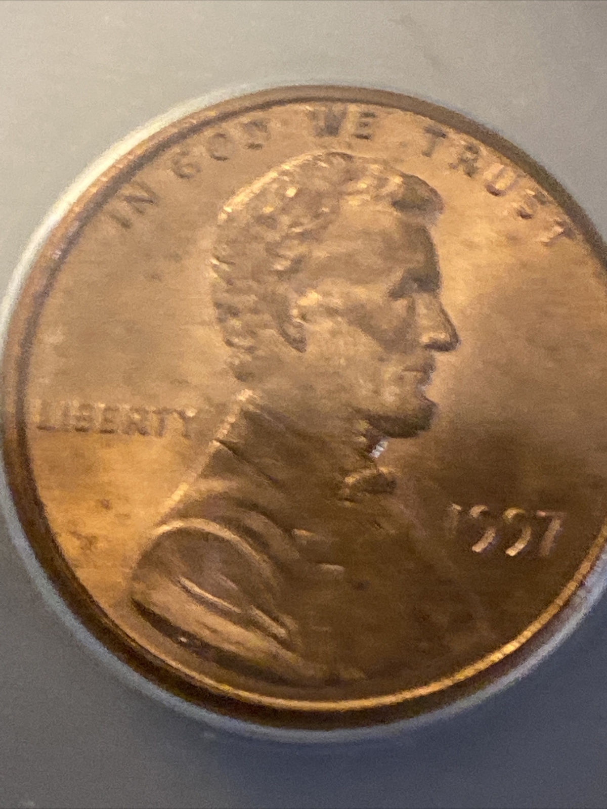 Picture 5 of 5
