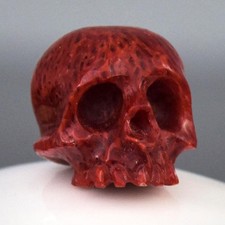 Perle Agustus-Collection Crâne Humain Sculptée Rouge Corail Éponge 11,70 mm